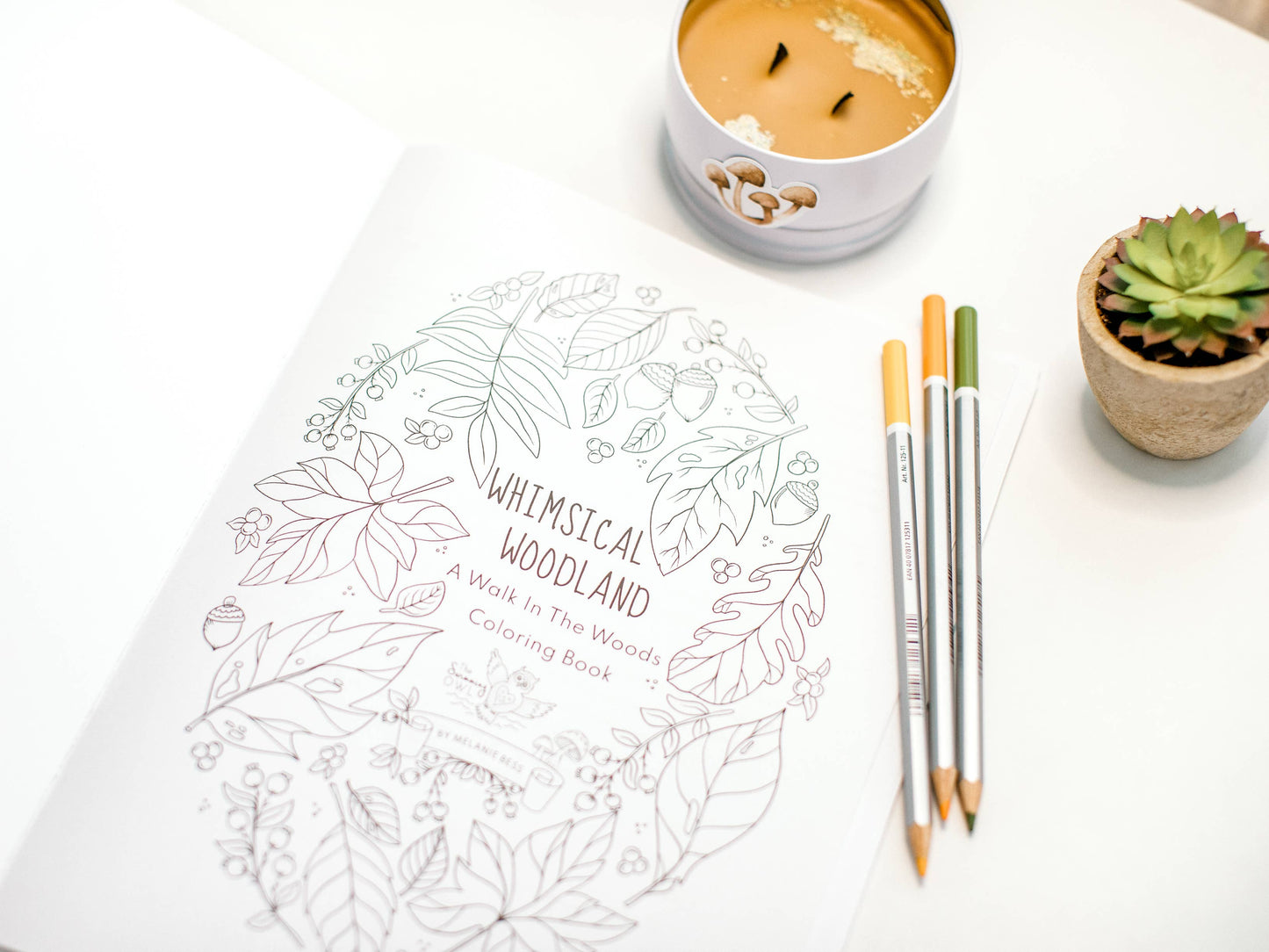 Whimsical Woodland Coloring Book