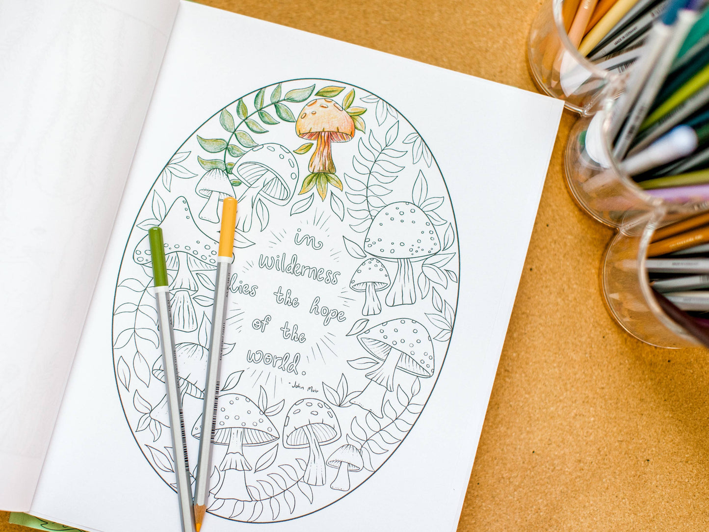 Whimsical Woodland Coloring Book