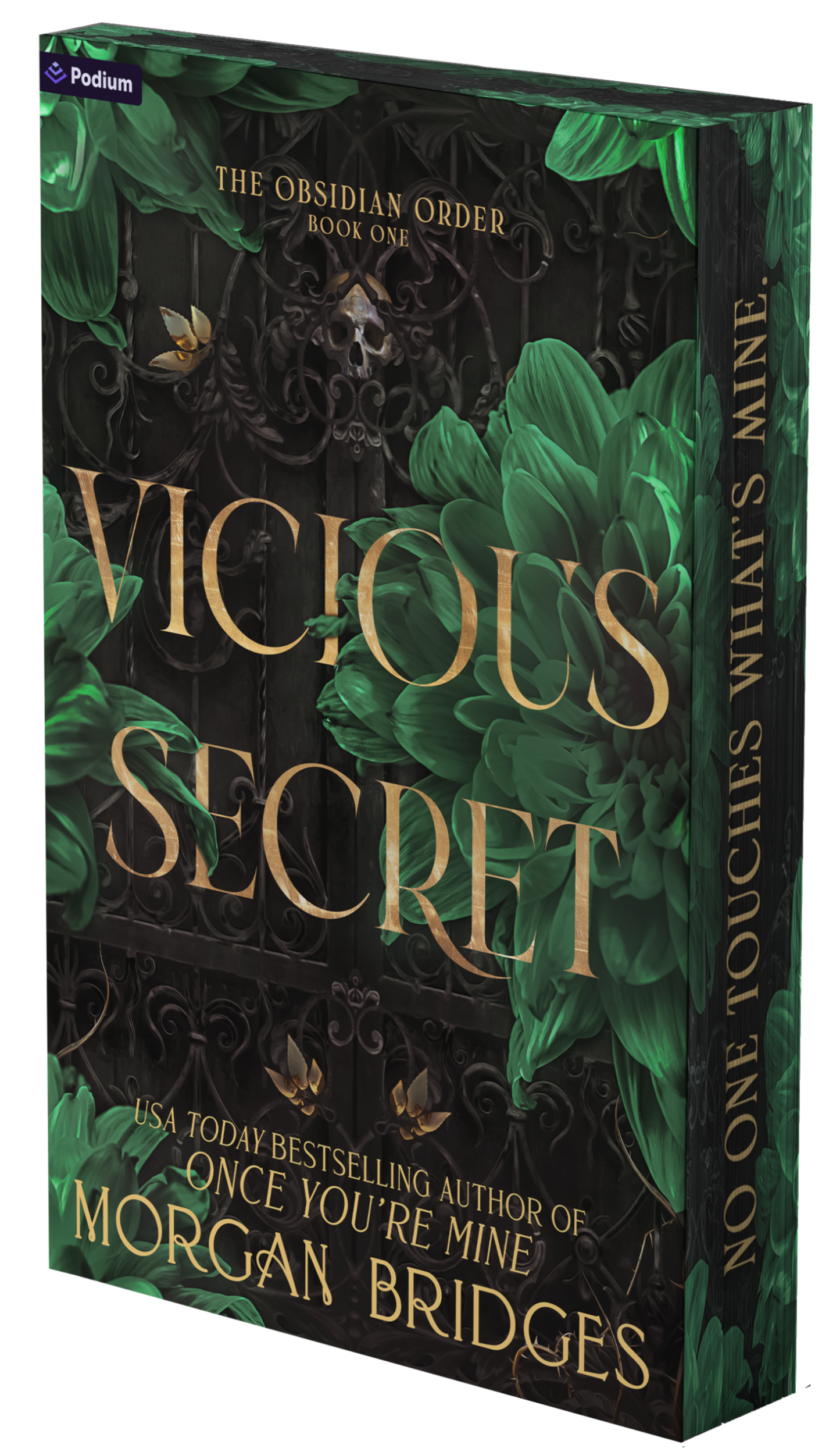 Vicious Secret by Morgan Bridges